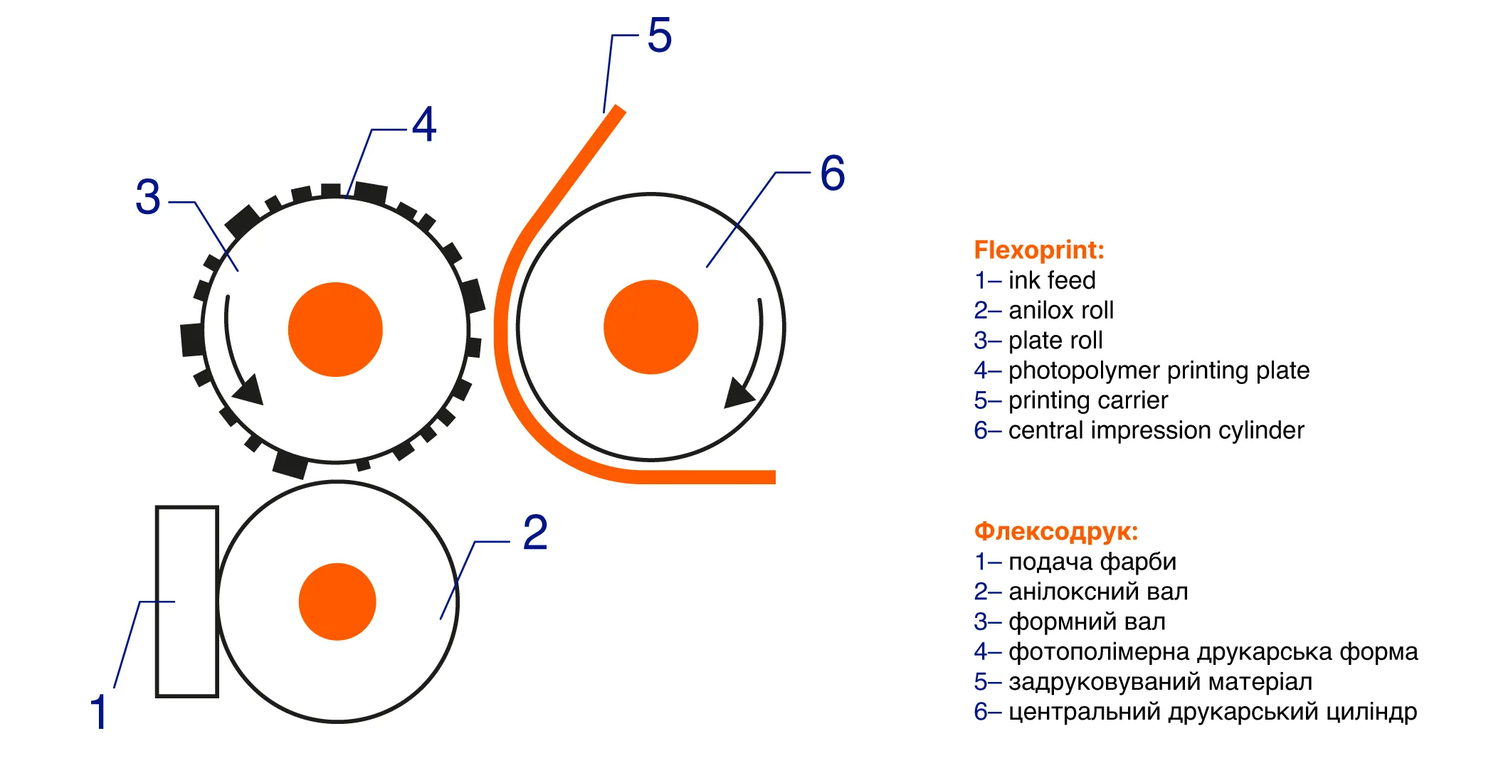 Кольори флексографічного друку